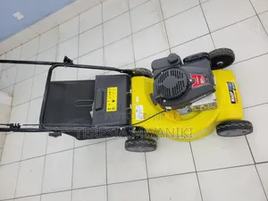 Wasp 139cc Lawn Mower
