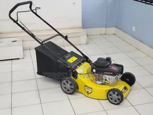 4hp Lawn Mower | Wasp