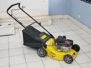 4hp Lawn Mower | Wasp