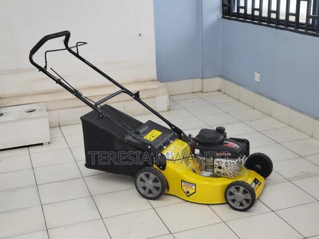 2-stroke Lawn Mower | Wasp - main view