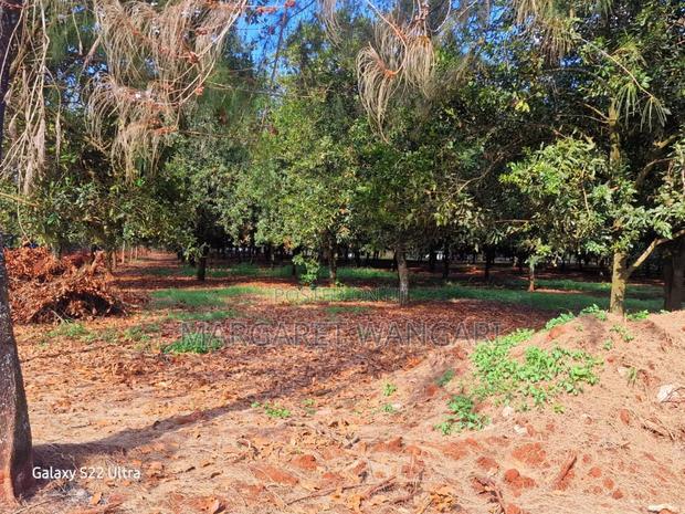 Prime Plots - thumbnail 2