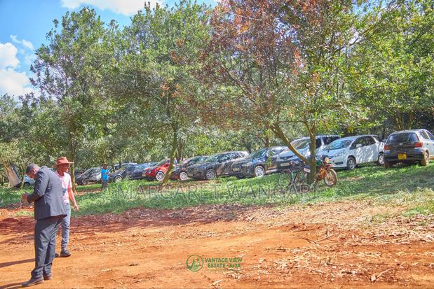 Prime Plots - thumbnail 3