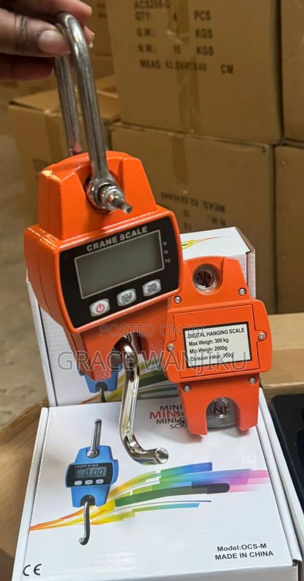 Mini Crane Max Weight 300kg - main view