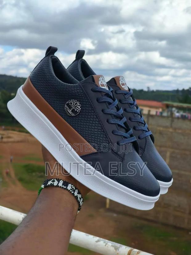 Navyblue,White Brawn Timberland Casual Sneakers - main view