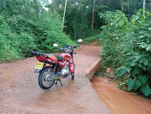 Bajaj Boxer 125 2019 Red