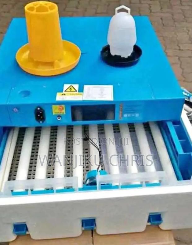 Ac/Dc Egg Incubator/New Automatic Eggs Incubator 64 Eggs
