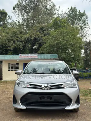 Toyota Corolla Fielder 2019 Silver