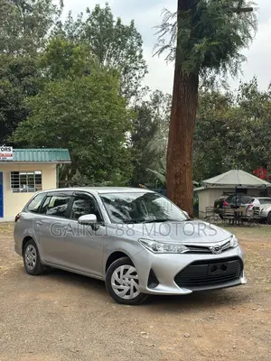 Toyota Corolla Fielder 2019 Silver