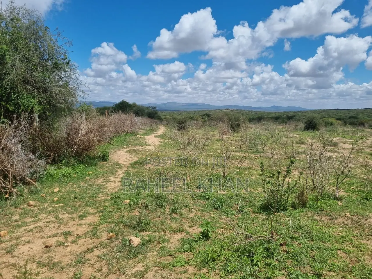Affordable Land at Bisil 14 Acres for Sale