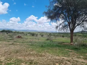 Affordable Land at Bisil 14 Acres for Sale