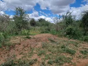 Affordable Land at Bisil 14 Acres for Sale