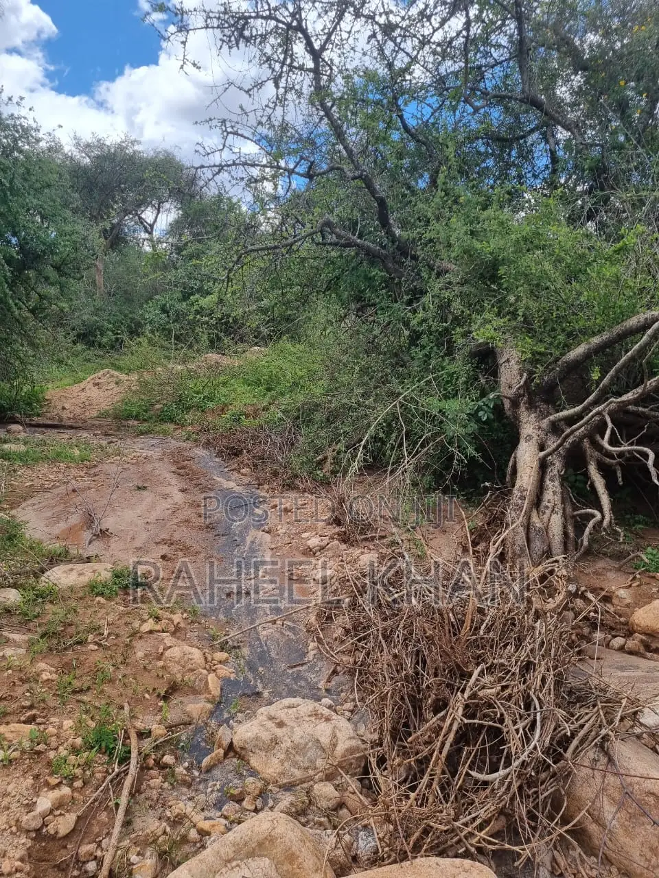 Affordable Land at Bisil 14 Acres for Sale