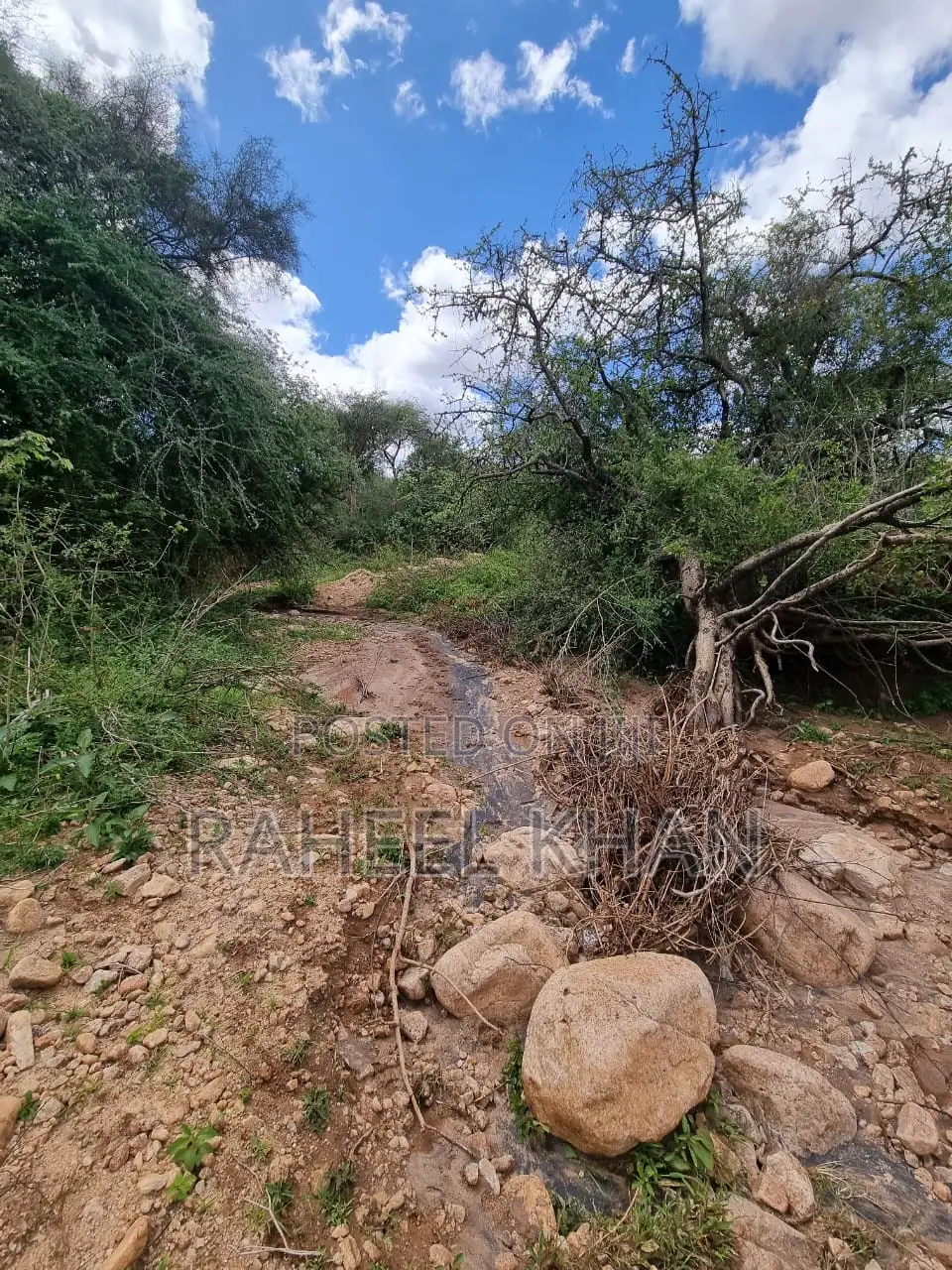 Affordable Land at Bisil 14 Acres for Sale