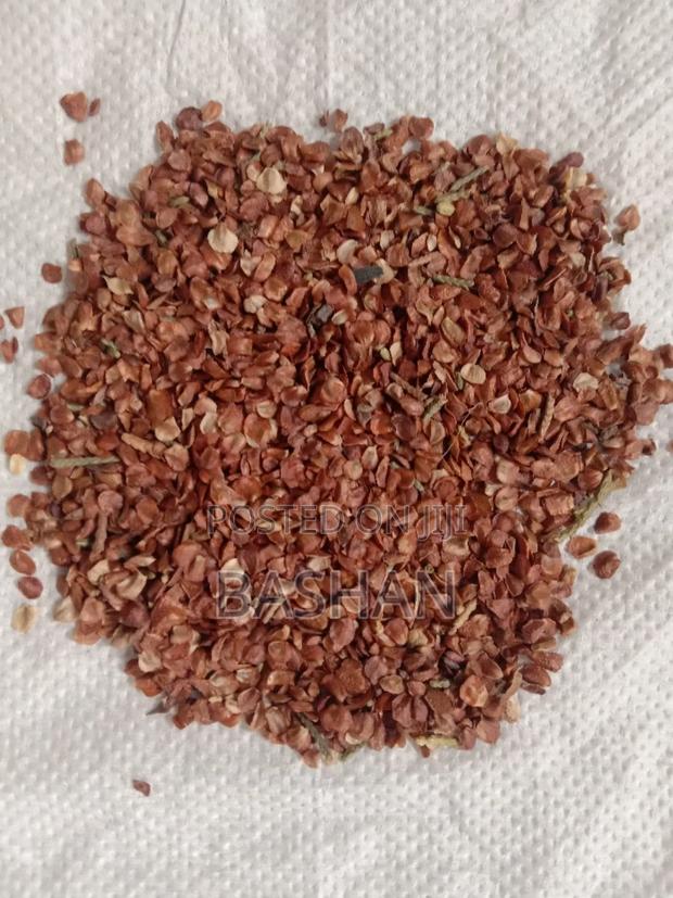 Cypress Tree Seeds - main view