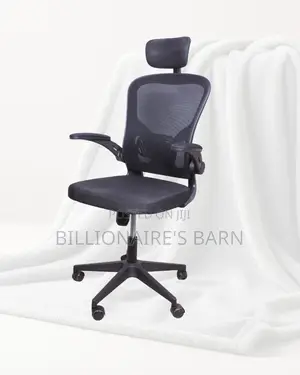 Grey Ergonomic Office Chair — Back Support for Long Hours
