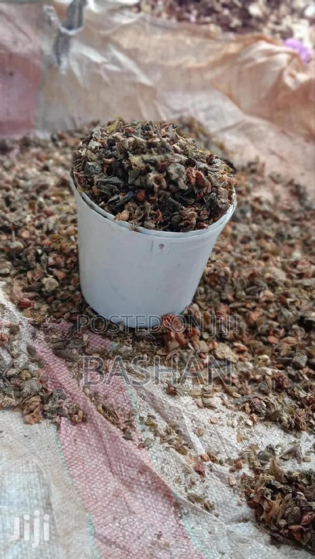 Kei Apple (Kaiyaba) Seeds - thumbnail 3