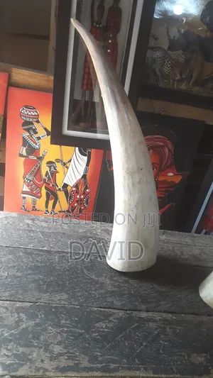 Isukuti Drums