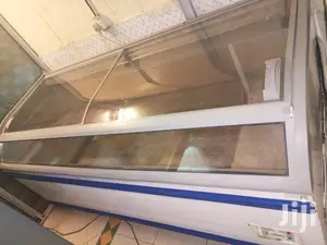 Display Freezer
