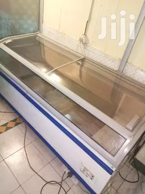Display Freezer