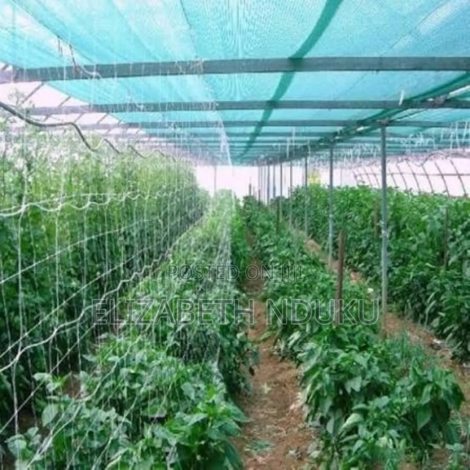 Superior Agricultural Shade Net