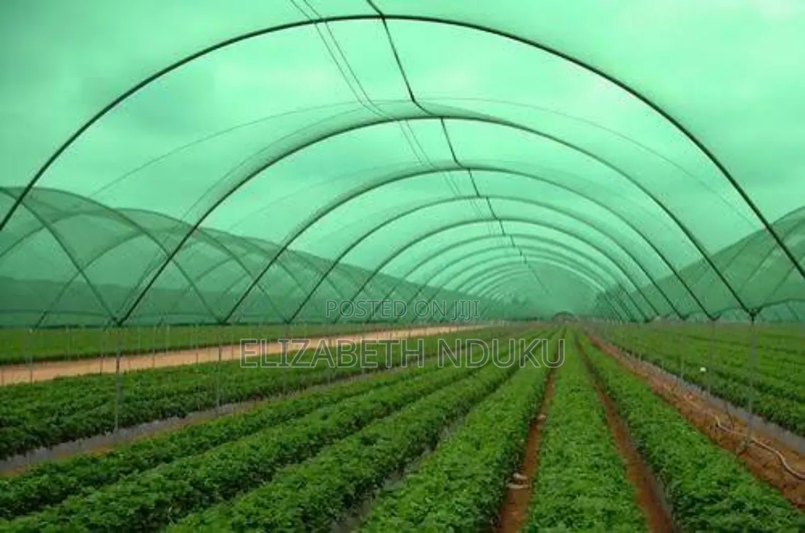 Polyethylene Agricultural Shade Net