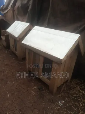 Dog Kennel