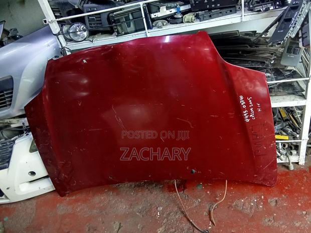Fielder/Nze 2002 Bonnet