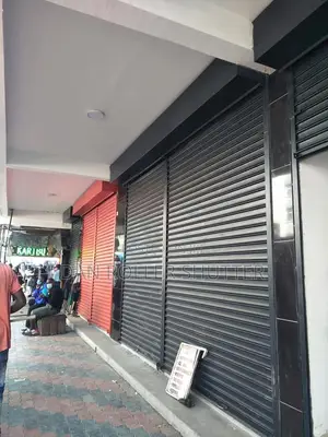 Modern Roller Doors for Garages and Shops