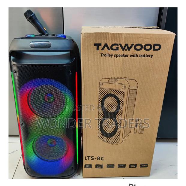 *Tagwood Rechargeable Party Box With Microphone and Remote