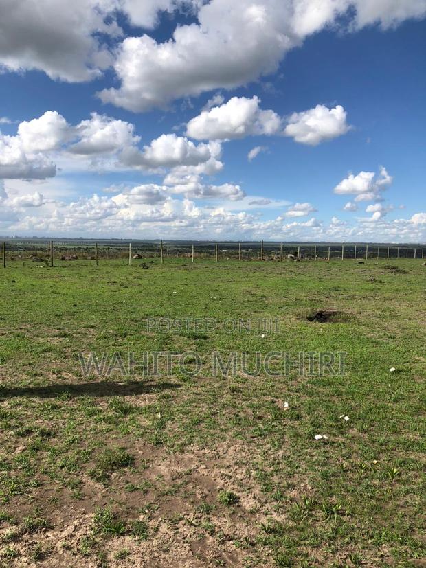 1 Acre Land - thumbnail 4