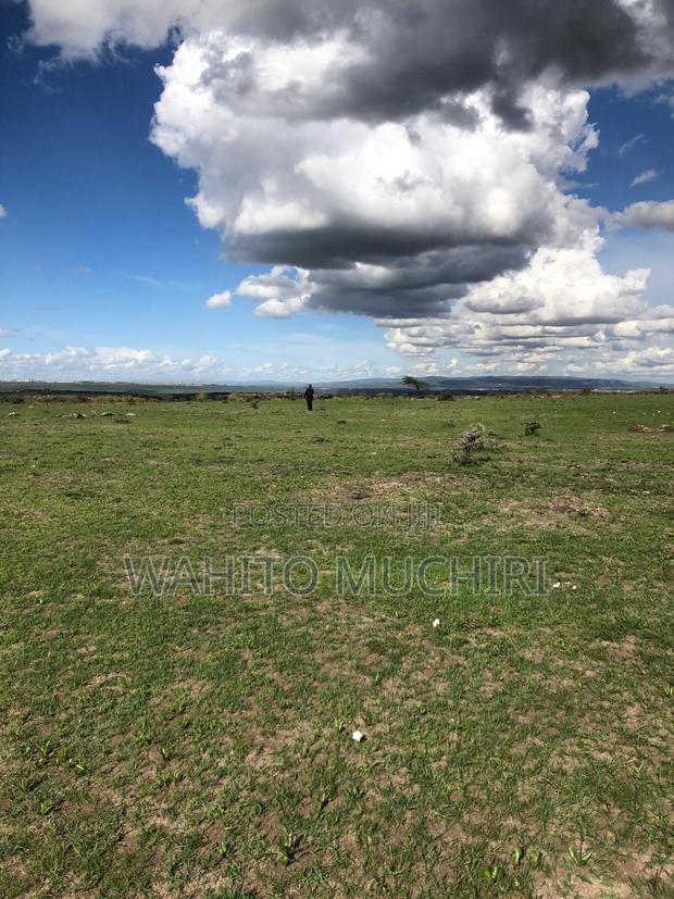 1 Acre Land - thumbnail 5