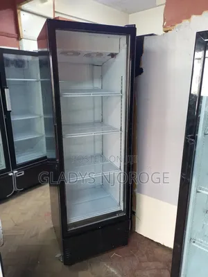 Show Case Chiller ( as Good as New)