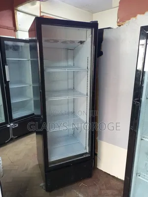 Show Case Chiller ( as Good as New)