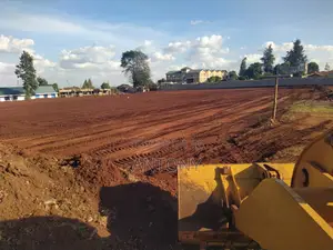 Track Shovel for Hire