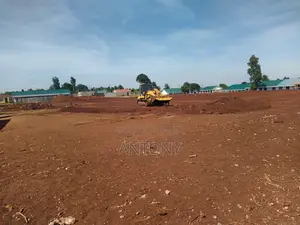 Track Shovel for Hire