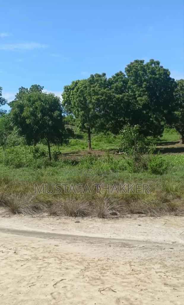 Mtwapa Prime 3 Acres Creek Plot for Sale (Urgent) - thumbnail 3