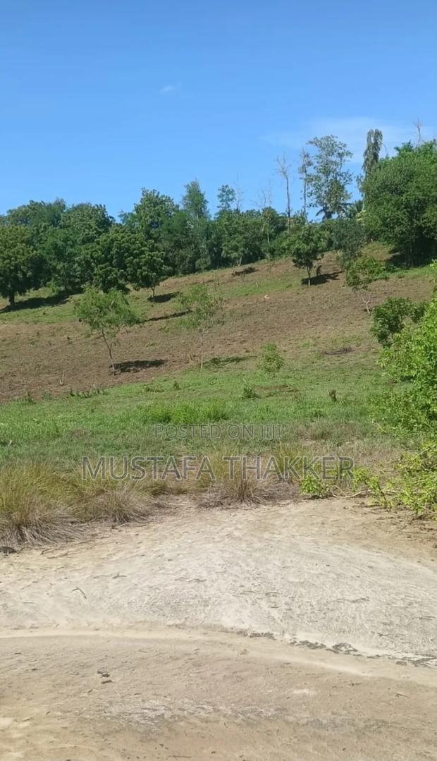 Mtwapa Prime 3 Acres Creek Plot for Sale (Urgent) - thumbnail 4