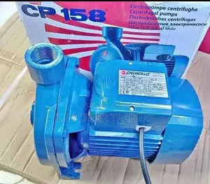 Pedrollo 1hp Water Pump