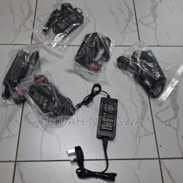 Hoverboard's Charger - main view