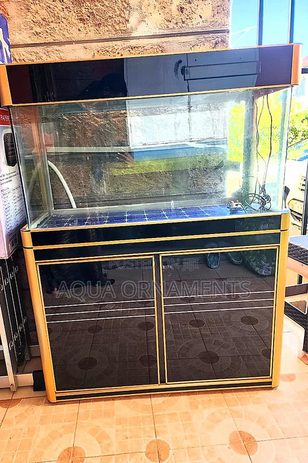 Imported Aquarium With Back/Gold Cabinet Stand