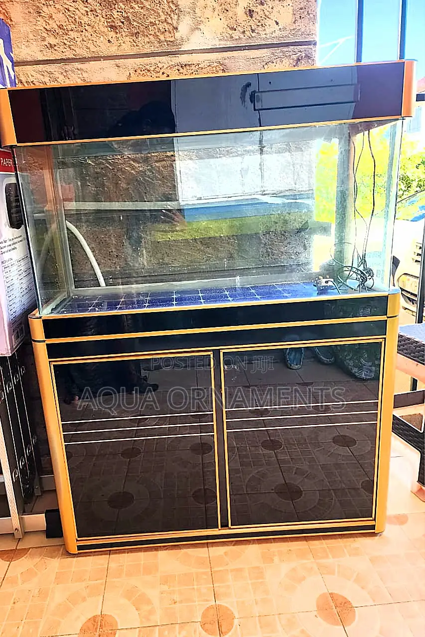 Imported Aquarium With Back/Gold Cabinet Stand