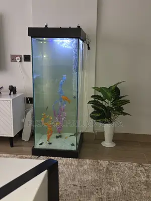 Aquarium Tower With Filter, Lights Décor