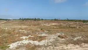 50 by 100 Plots for Sale in Watamu Kilifi County Near Jacaranda Beach