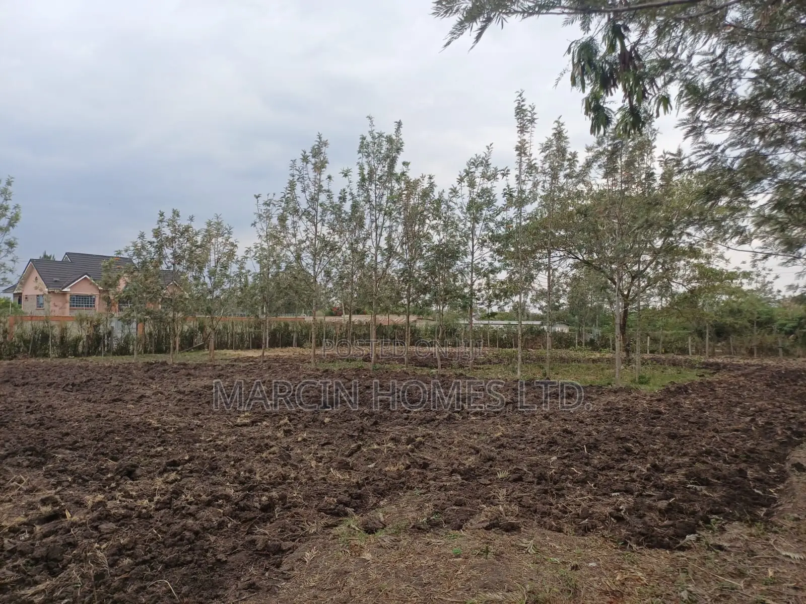 0,5 Acre for Lease in Ruai