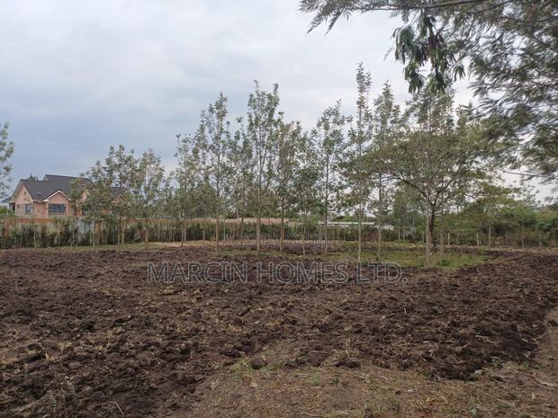 0,5 Acre for Lease in Ruai - main view