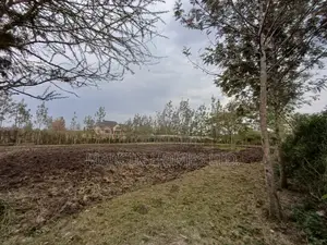 0,5 Acre for Lease in Ruai