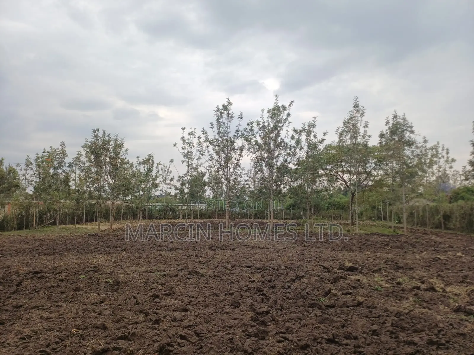 0,5 Acre for Lease in Ruai