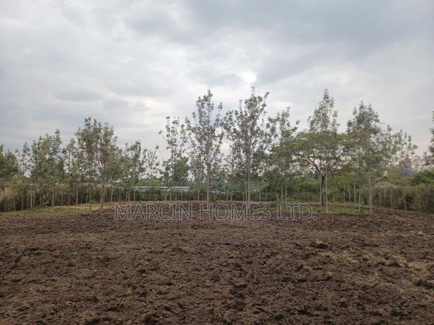 0,5 Acre for Lease in Ruai - thumbnail 8