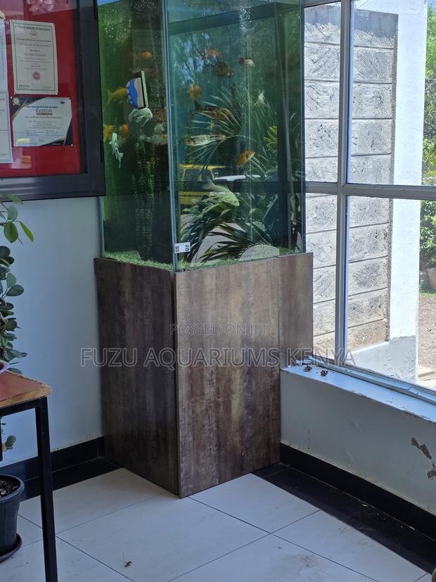 Modern Inbuilt Corner Aquarium – Elegant Space Saver - main view