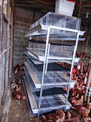 H-Type Layer Cage - main view